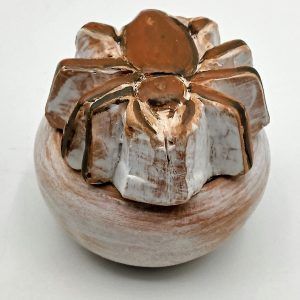 Sigilatas cajita araña