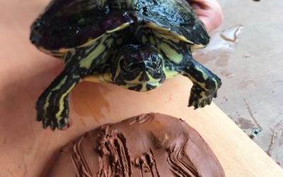 ¿Quieres que tu mascota deje huella?.